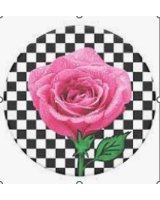  Popsockets PT-SK8R GRL-BK 