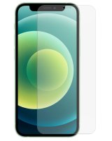  Evelatus Apple iPhone 12 Pro Max 6.7 Matte 2.5D Silk Cover Japan Glue Glass Anti-Static 