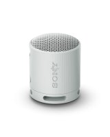  Sony Sony SRS-XB100 Grey 