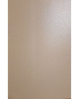  Evelatus Universal Leather Film for Screen Cutter Beige 