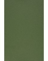  Evelatus Universal Universal Color Shinning Film for Screen Cutter Army Green 