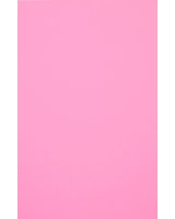  Evelatus Universal Universal Color Shinning Film for Screen Cutter Light Pink 