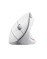  Trust MOUSE USB OPTICAL WRL VERTO/ERGONOMIC WHITE 25132 