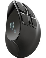  Trust Trust Voxx mouse RF Wireless+Bluetooth Optical 2400 DPI Right-hand 