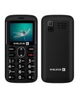  Evelatus ARON 2020 DS (EA02BK) Graphite Black 