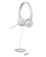  Lenovo LENOVO 110 STEREO USB HEADSET_ 