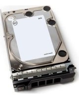  Dysk serwerowy Dell 1 TB 3.5'' SATA III (6 Gb/s) (400-BGEB) 