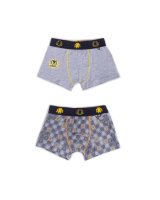  Zēnu bokseršorti 2 gab. 110-116 BMB-0017 [A] 