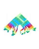  Gaisa pūķis 78x60 cm U471 