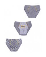  Zēnu apakšbikses 1 gab. BMC-0035 122-128 cm [A] 