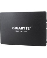  Gigabyte GP-GSTFS 256GB 