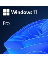  Microsoft Windows 11 Pro ENG OEM 