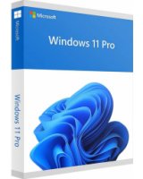  Microsoft Windows 11 Pro ENG Intl USB FPP 