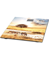  Muhler MSC-3077 Весы, MSC-3077 SAVANNAH 