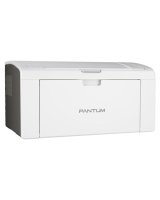  Printer PANTUM P2509W Mono WiFi 