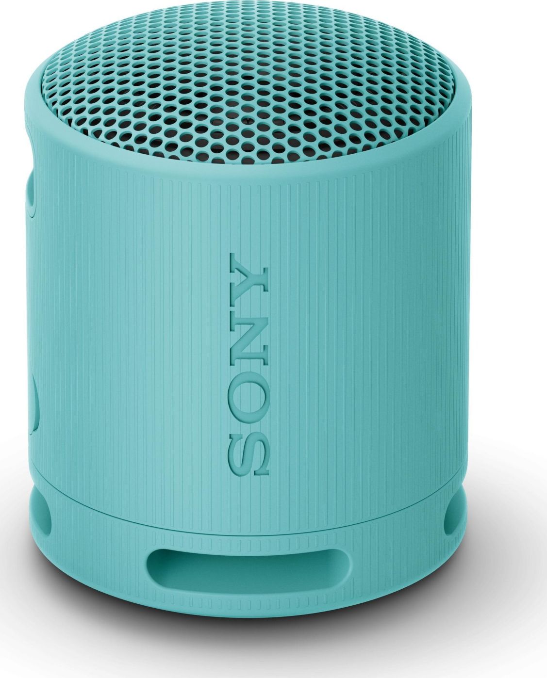 Sony Sony Loudspeakers SRSXB100L.CE7 blue