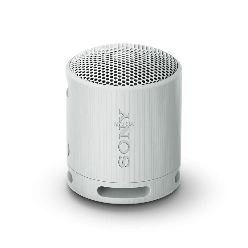 Sony Sony SRS-XB100 Grey