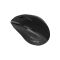 Canyon CANYON mouse OnClick 17 Ergonomic